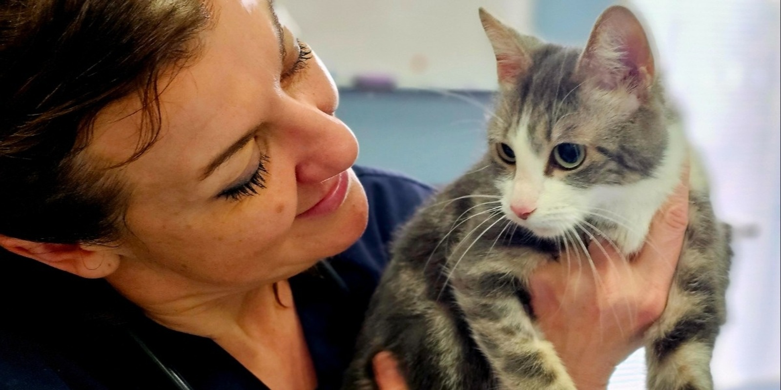 Banner image for RSPCA Cat Vaccination Event at Tarneit Community Learning Centre -- NOV