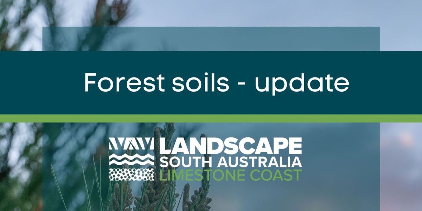 Banner image for Forest soils - an update.