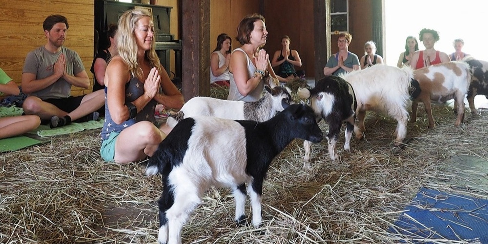 Banner image for Goat Yoga at Franny's Farm - Morning Session