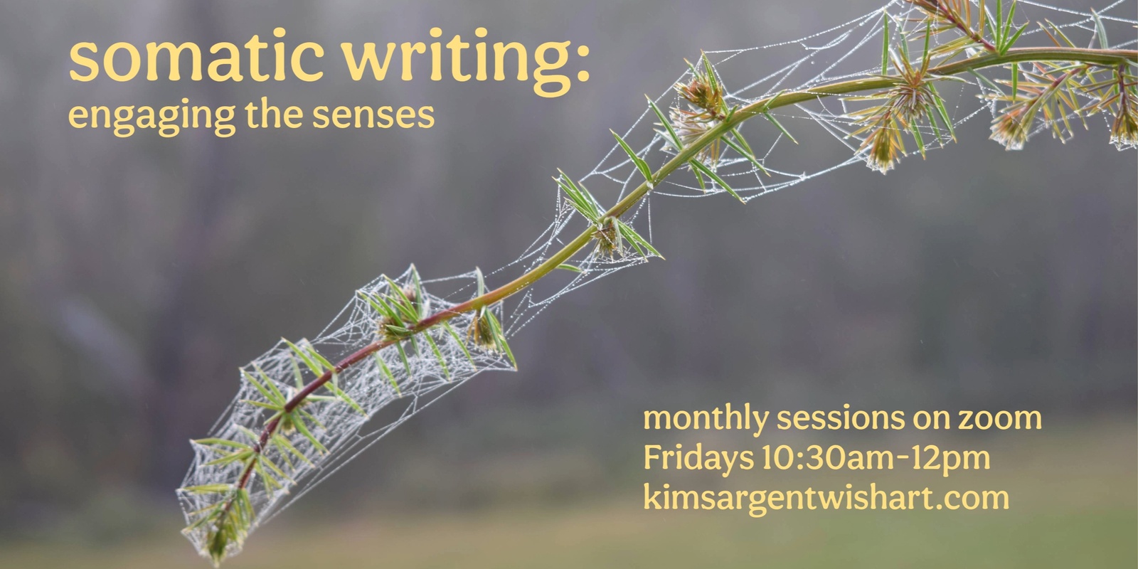 Banner image for Somatic Writing: Engaging the Senses (monthly zoom class)