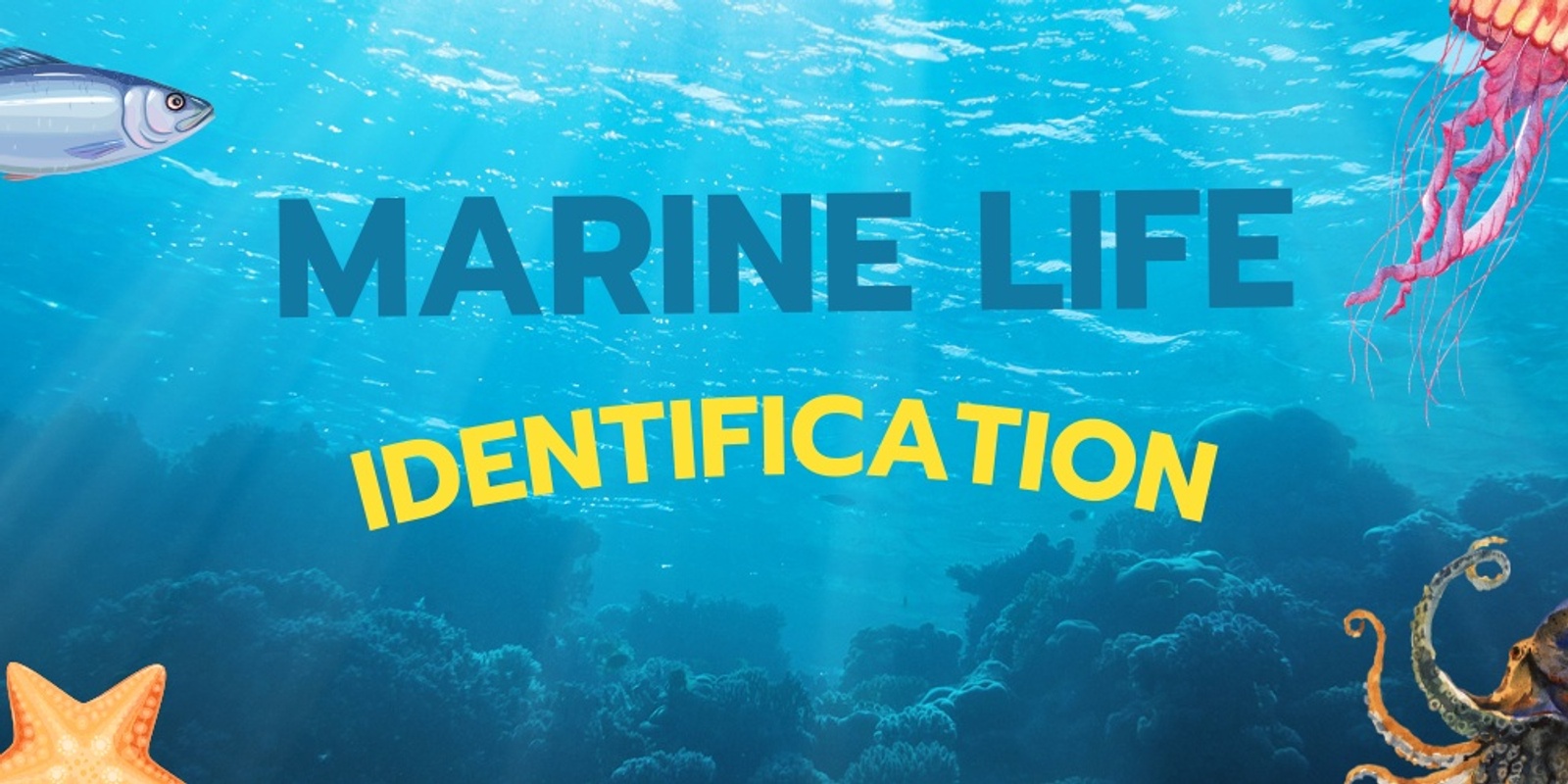 Banner image for Marine Life Identification Workshop
