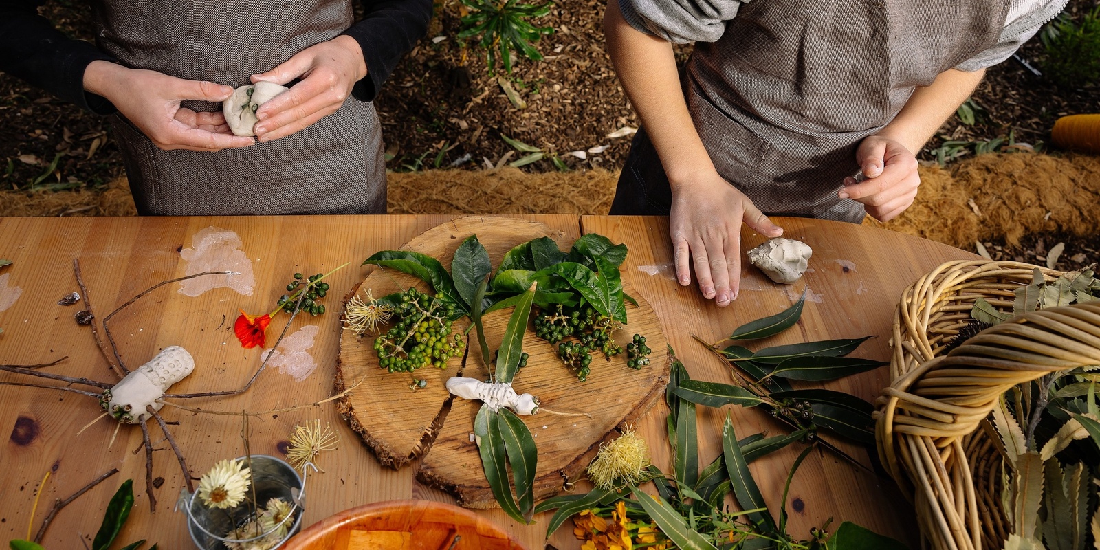 Banner image for We're Going on a Bug Hunt at Mount Annan