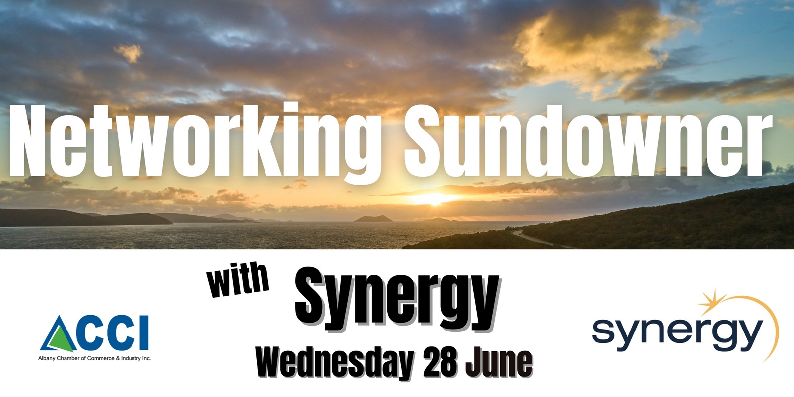 Banner image for Networking Sundowner with Synergy