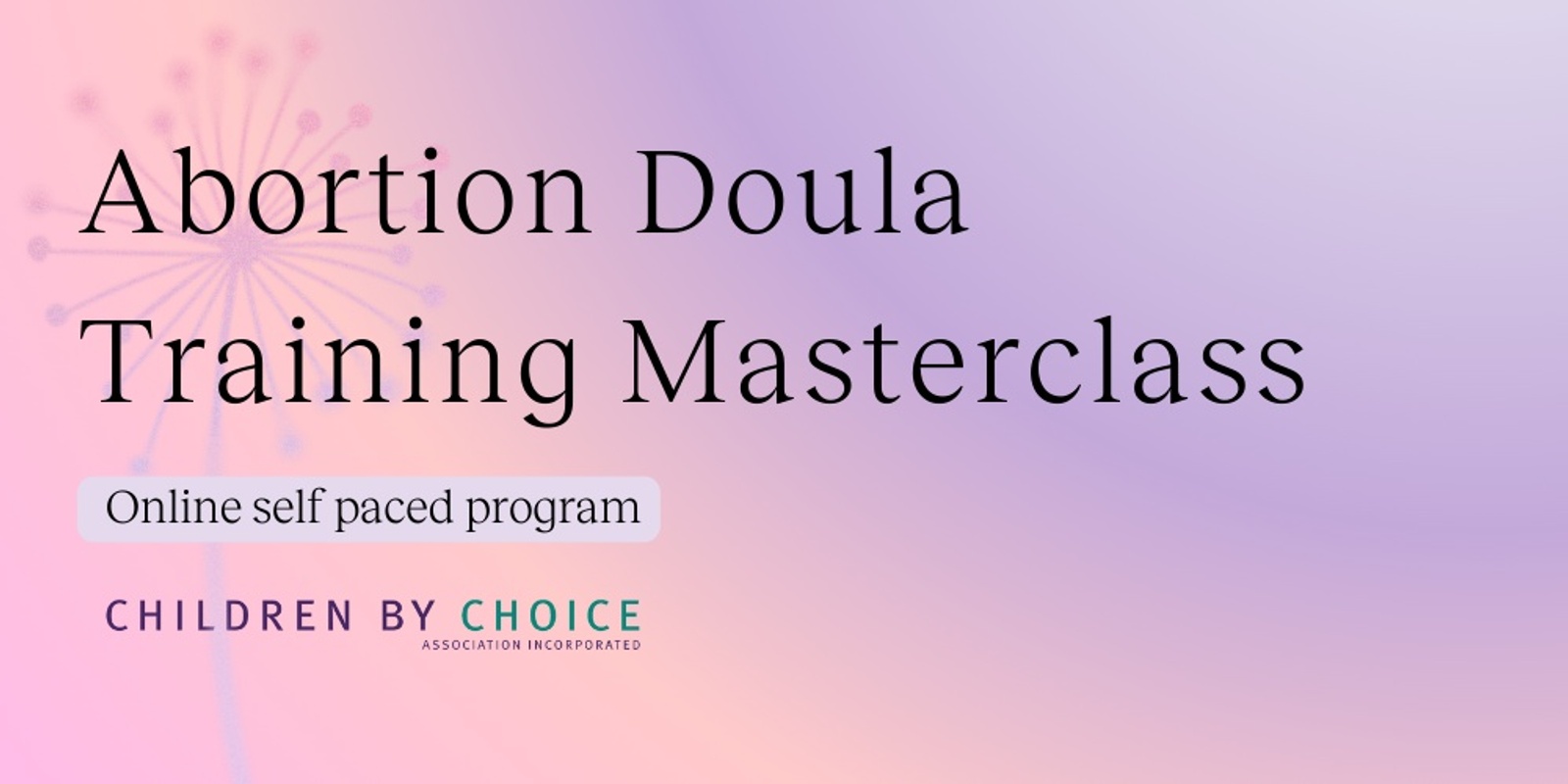 Abortion Doula Masterclass - Online Self-Paced Learning