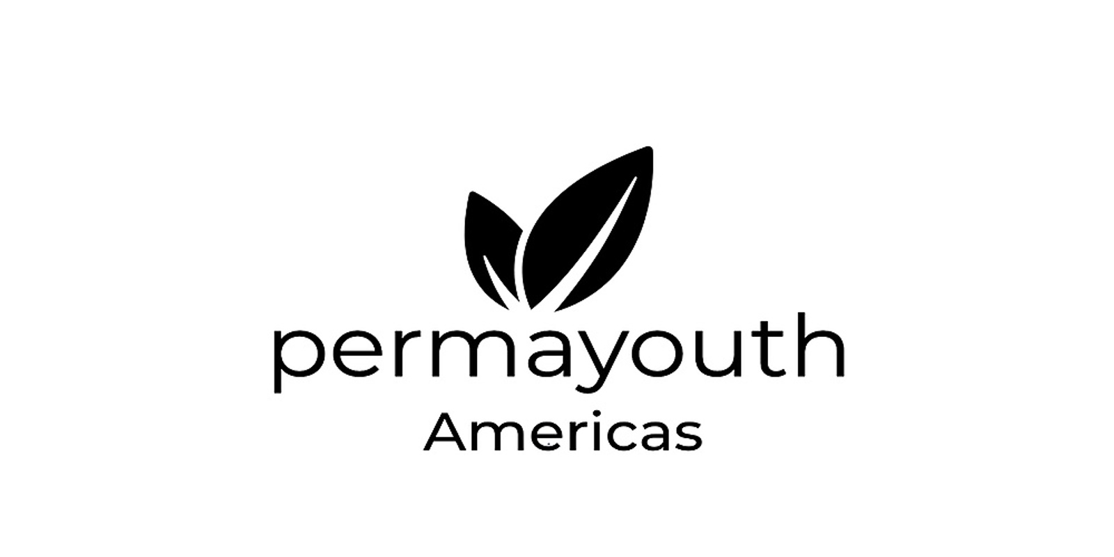 Banner image for Permayouth Americas Festival