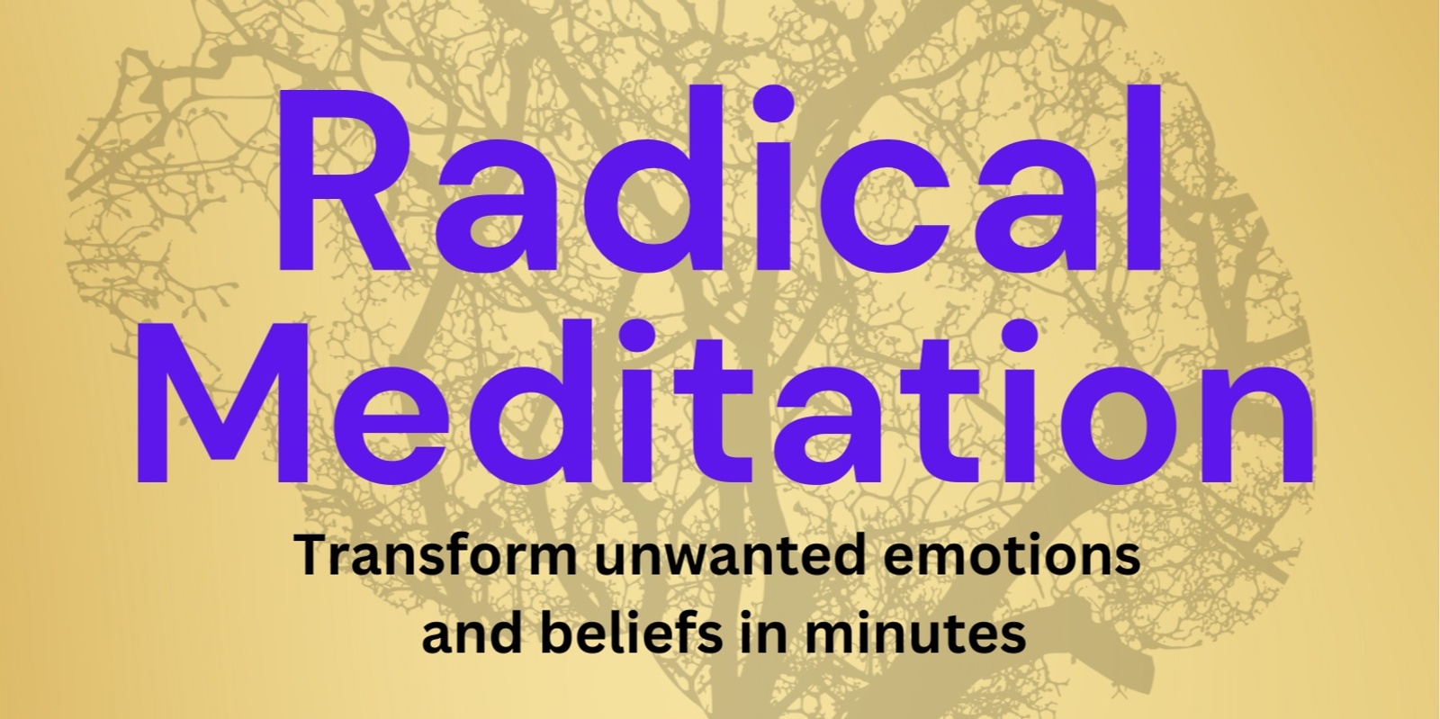 Banner image for Radical Meditation Live Small Group Experience