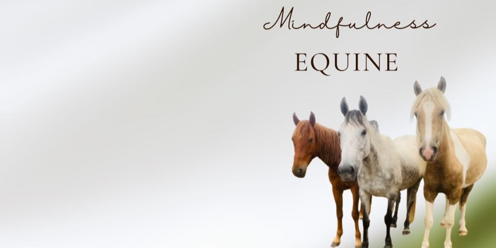 Banner image for Equine Sound and Mindfulness Experience #3 Sat26Oct2024