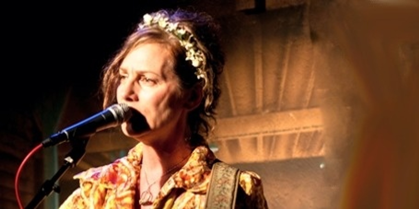 Banner image for Donna Dean with Dodd and Egenes: Butterflies and Bees Tour @ Dunedin Folk Club