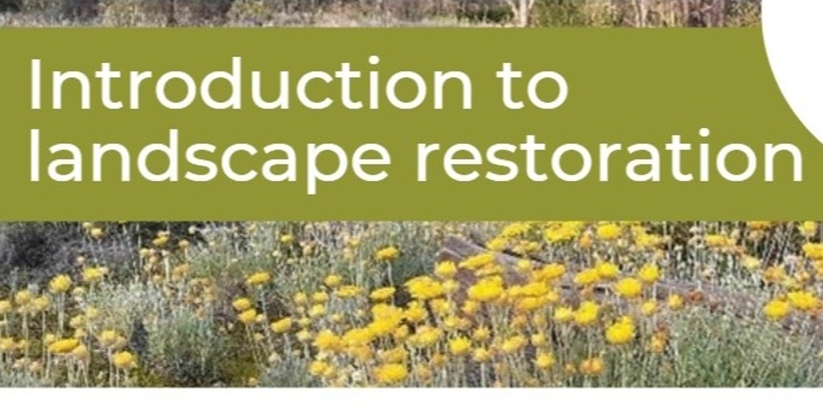Banner image for Introduction to Landscape Restoration with Cath Olive, Euroa Arboretum 