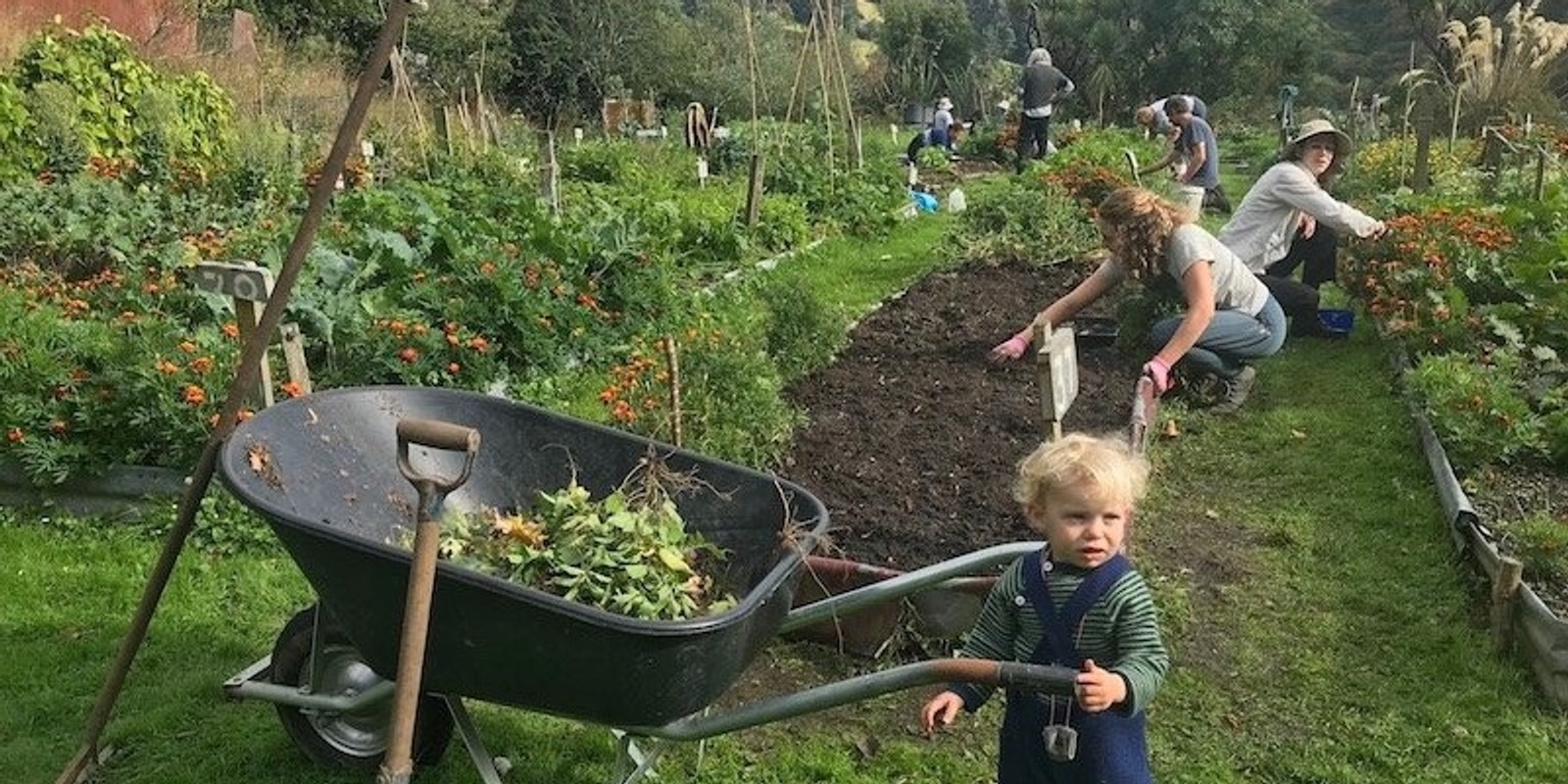 Banner image for North East Valley Community Garden
