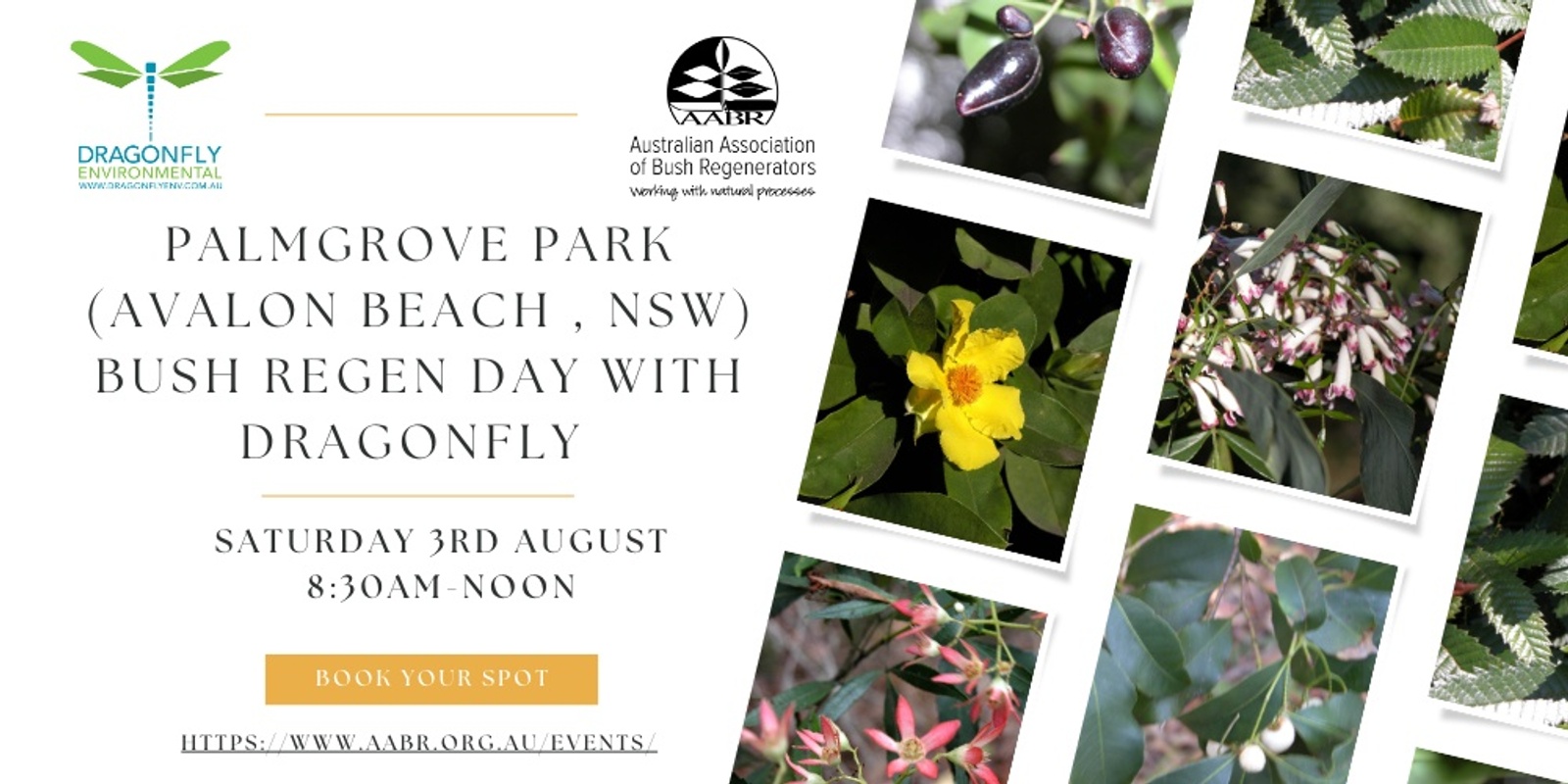 Banner image for Palmgrove Park bush regen day with Dragonfly 