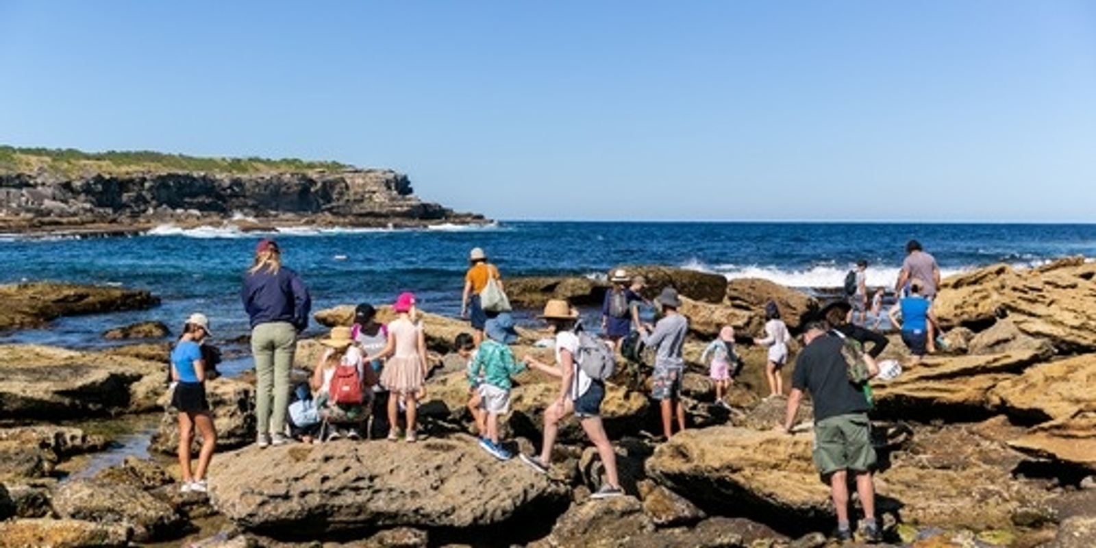 Banner image for Rockpool Ramble at Little Bay - 2 Session times