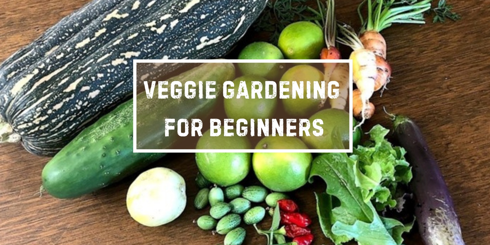 Banner image for Veggie Gardening for Beginners
