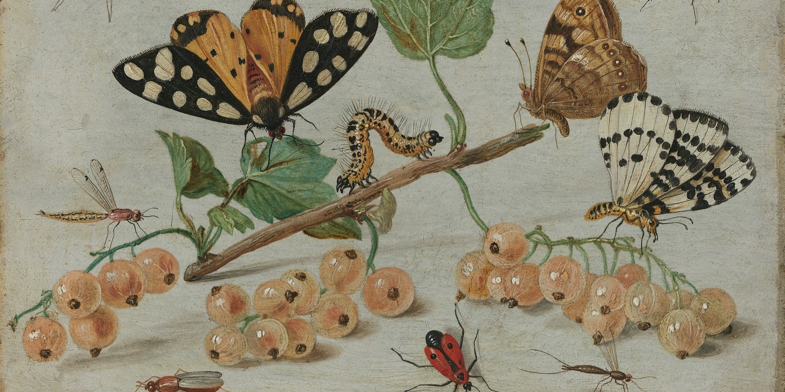 Banner image for Virtual Seminar Series on Insects and Arachnids in Art: Juliane Rohrwacher and Rubina 