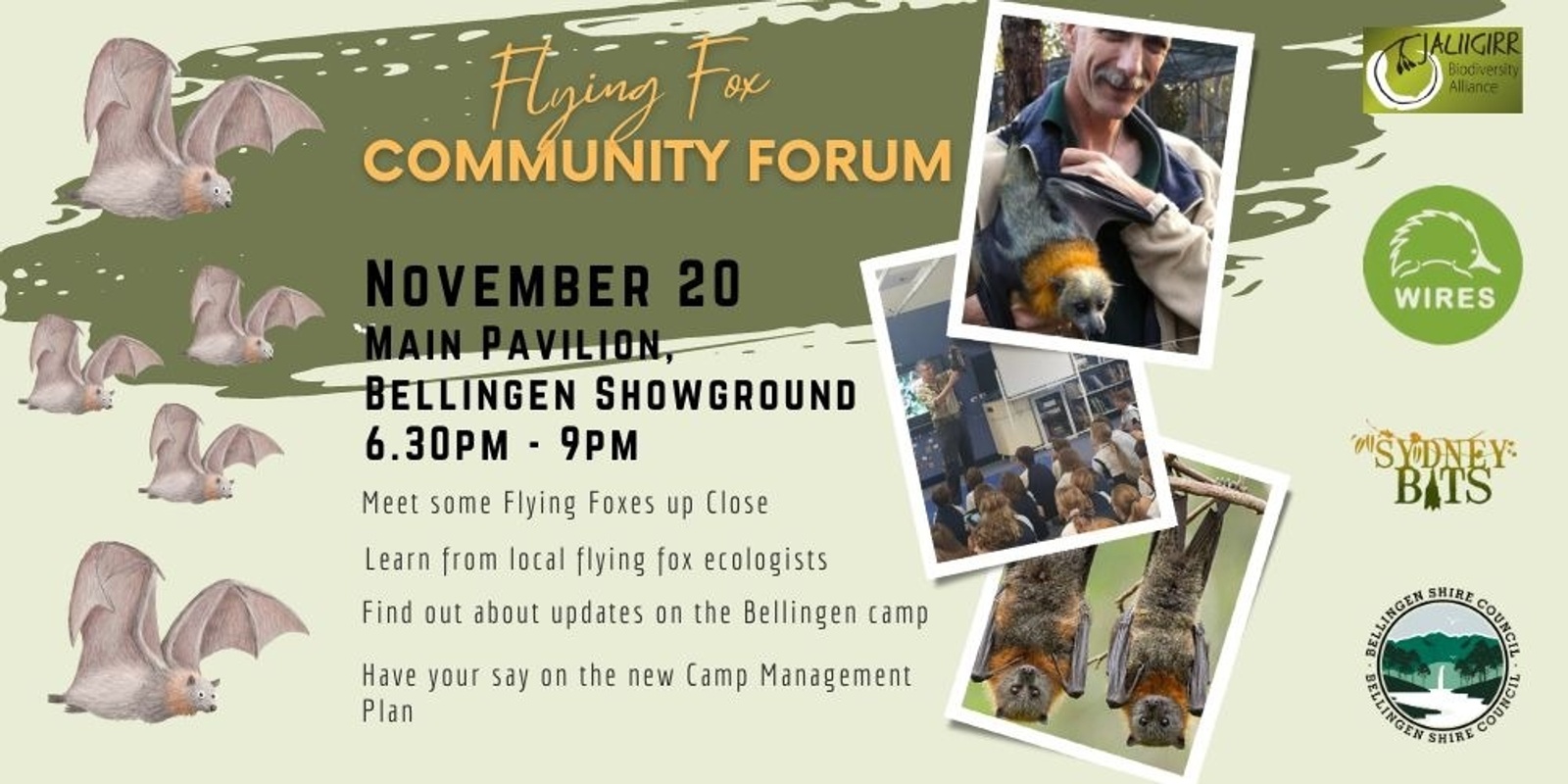 Banner image for Bellingen Flying Fox Community Forum