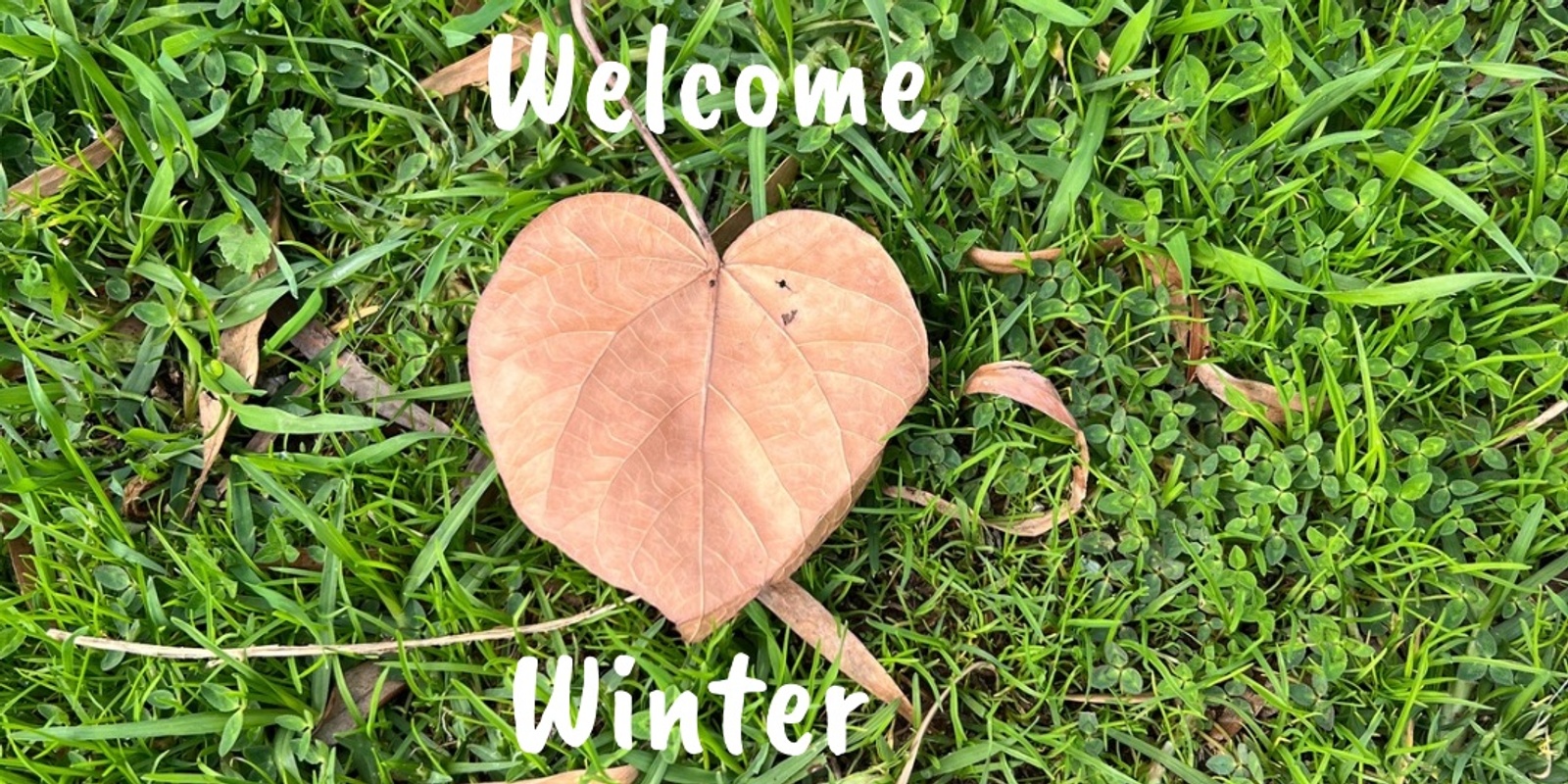 Banner image for Welcome to Winter  Meditation & Qi Gong