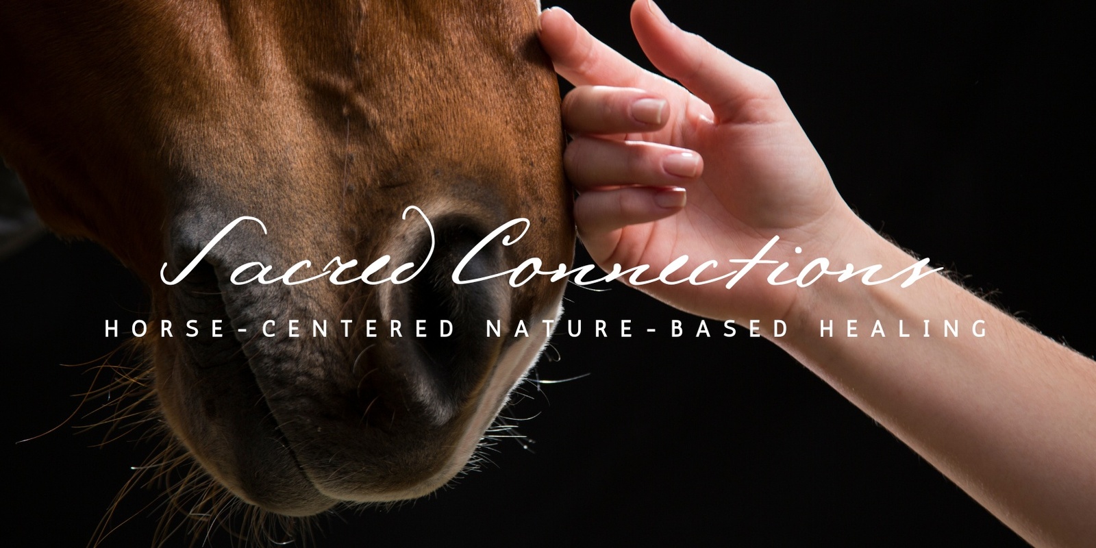 Banner image for Sacred Connections: