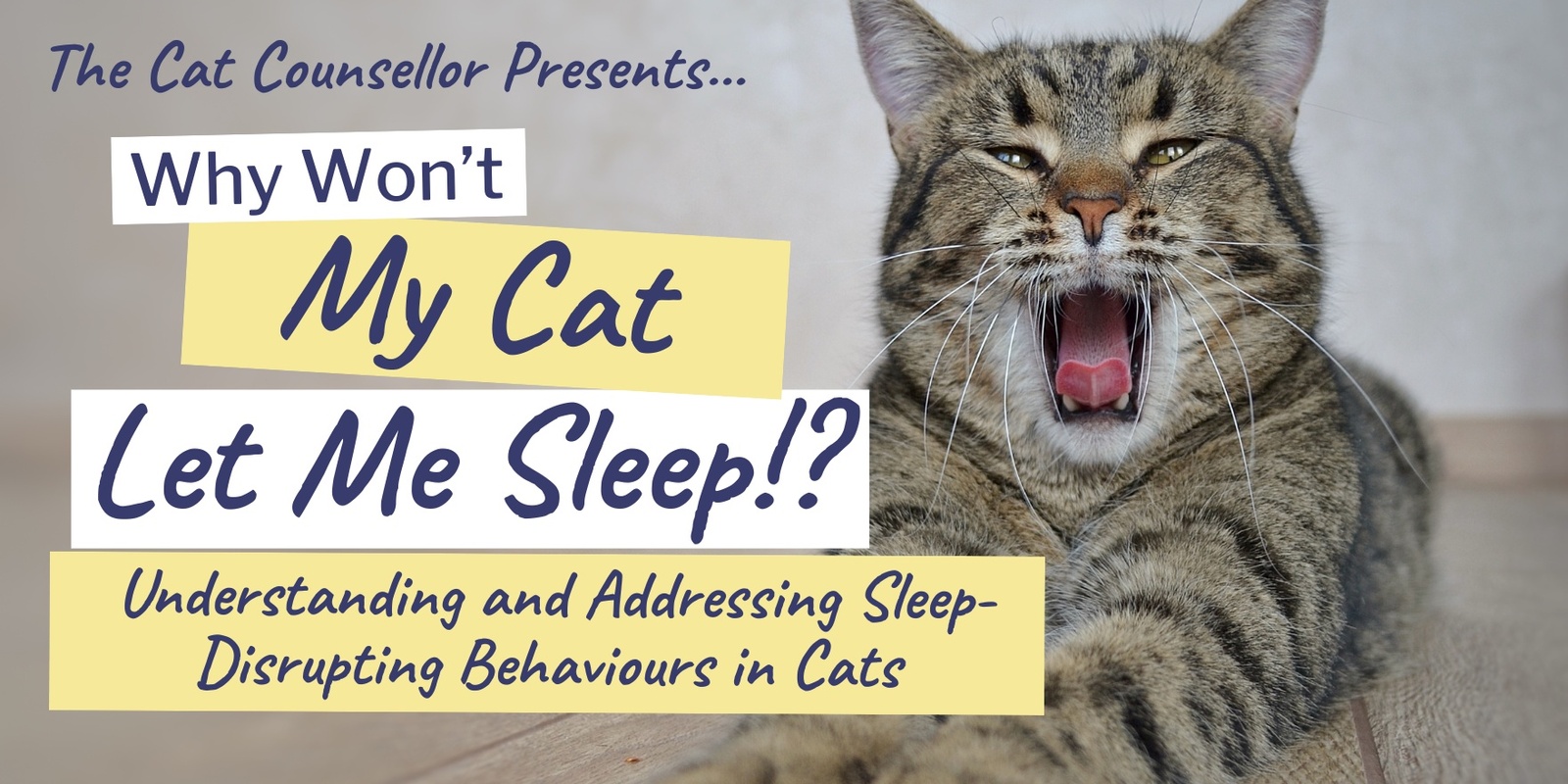 Banner image for Why Won't My Cat Let Me Sleep!? Understanding and Addressing Sleep-Disrupting Behaviours in Cats