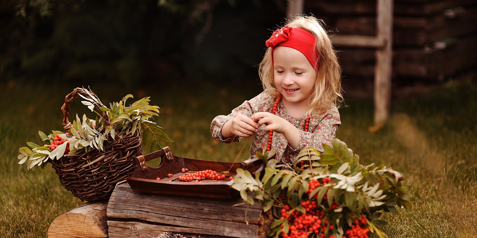 Banner image for  Santa's Studio at the Royal Botanic Garden Sydney