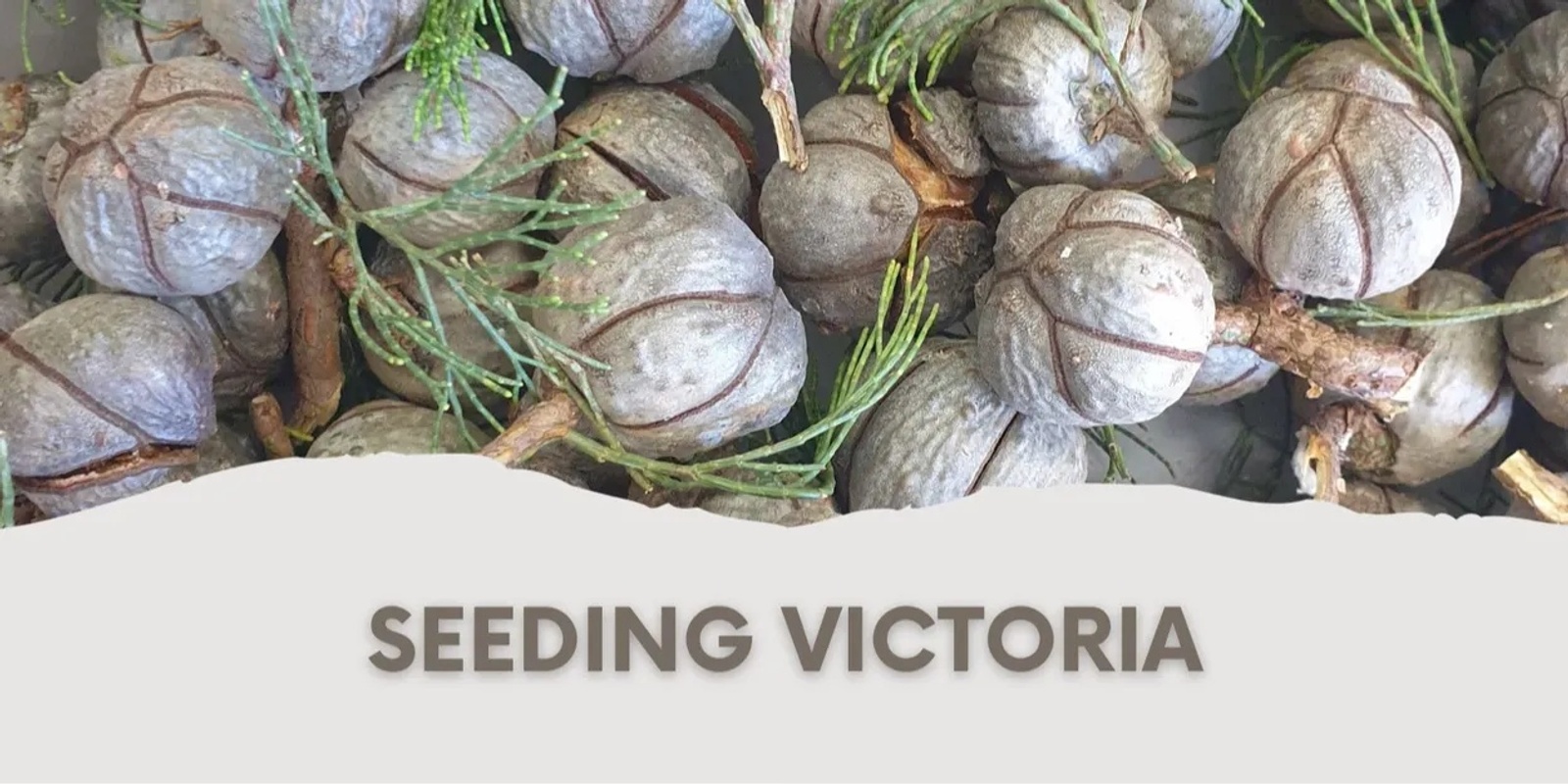 Banner image for Seeding Victoria 2024 AGM