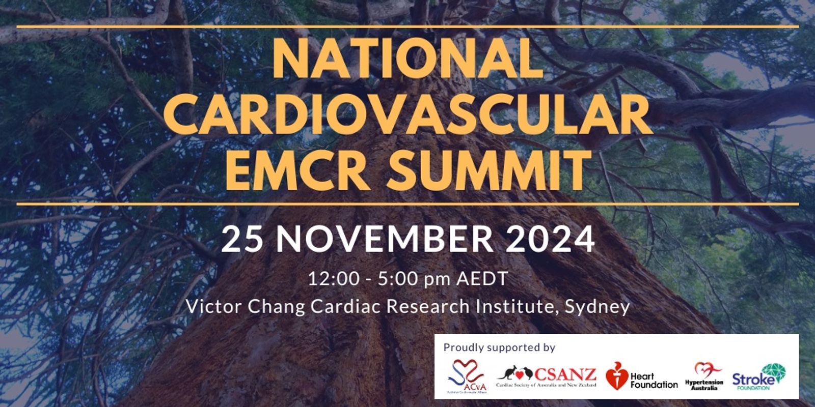 Banner image for National EMCR Summit