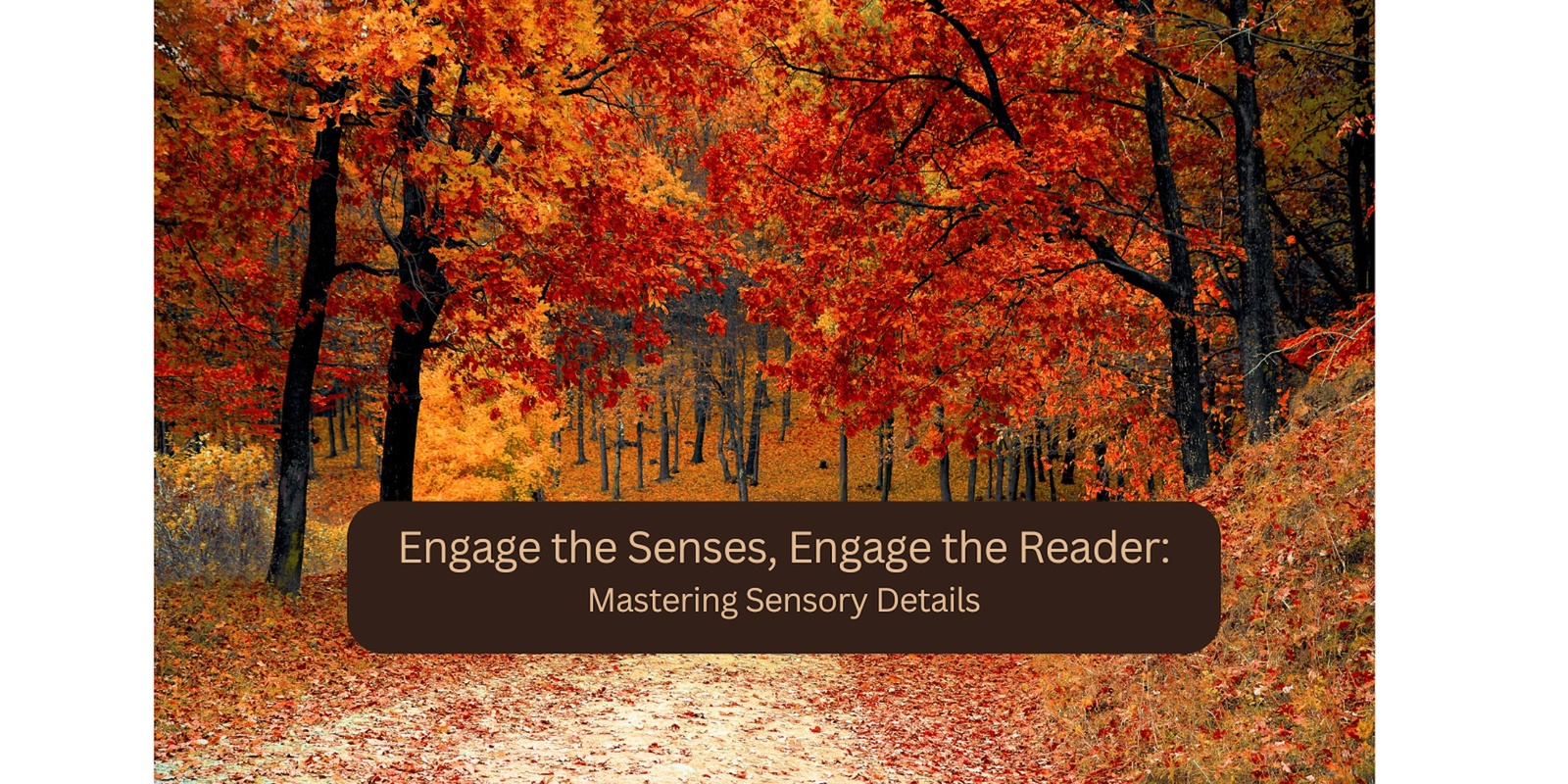 Banner image for Engage the Senses, Engage the Reader: Mastering Sensory Details