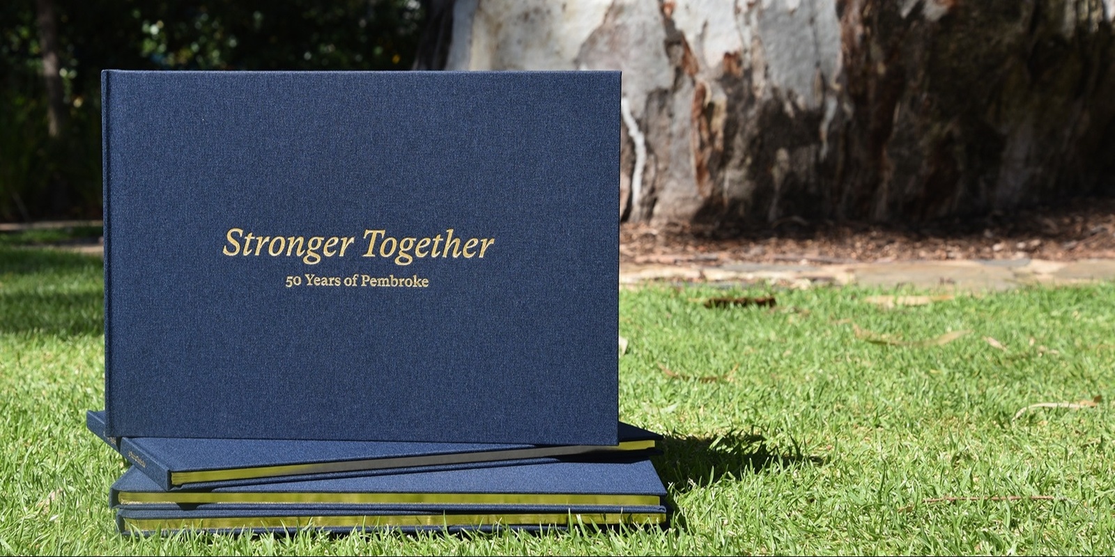 Banner image for Stronger Together: 50 Years of Pembroke