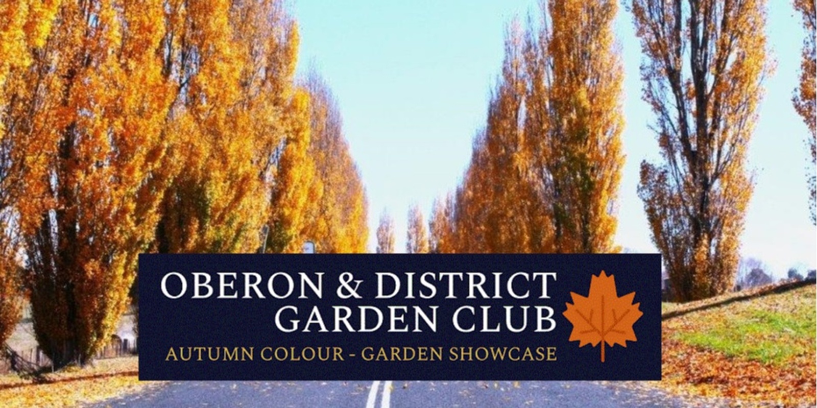 Oberon Autumn Colour - Garden Showcase 2025