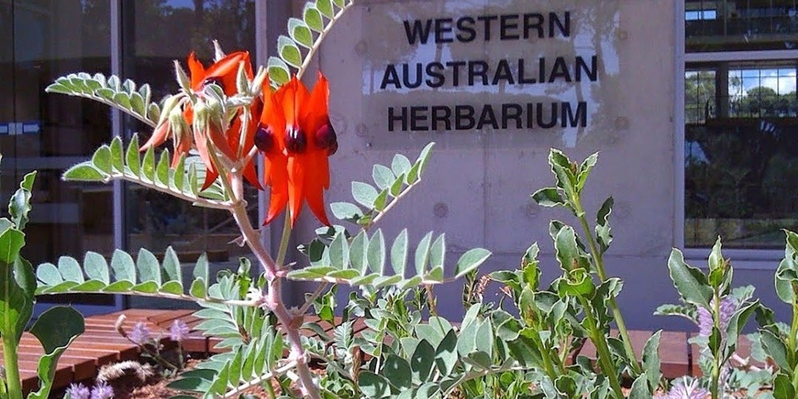 Banner image for Tour of Western Australian Herbarium