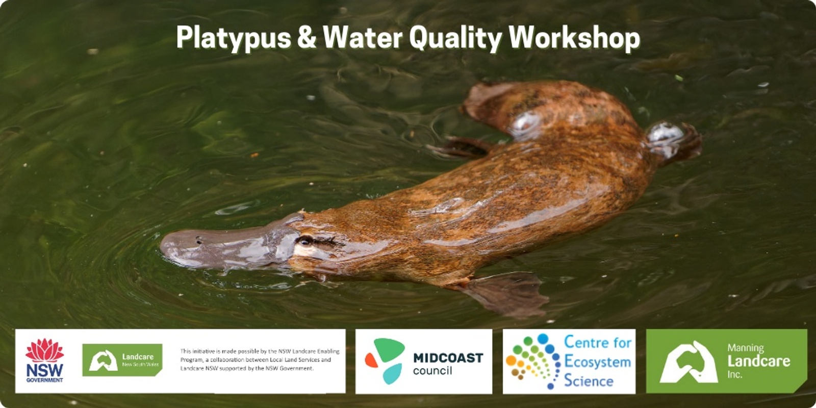 Banner image for Platypus & Water Quality Workshop