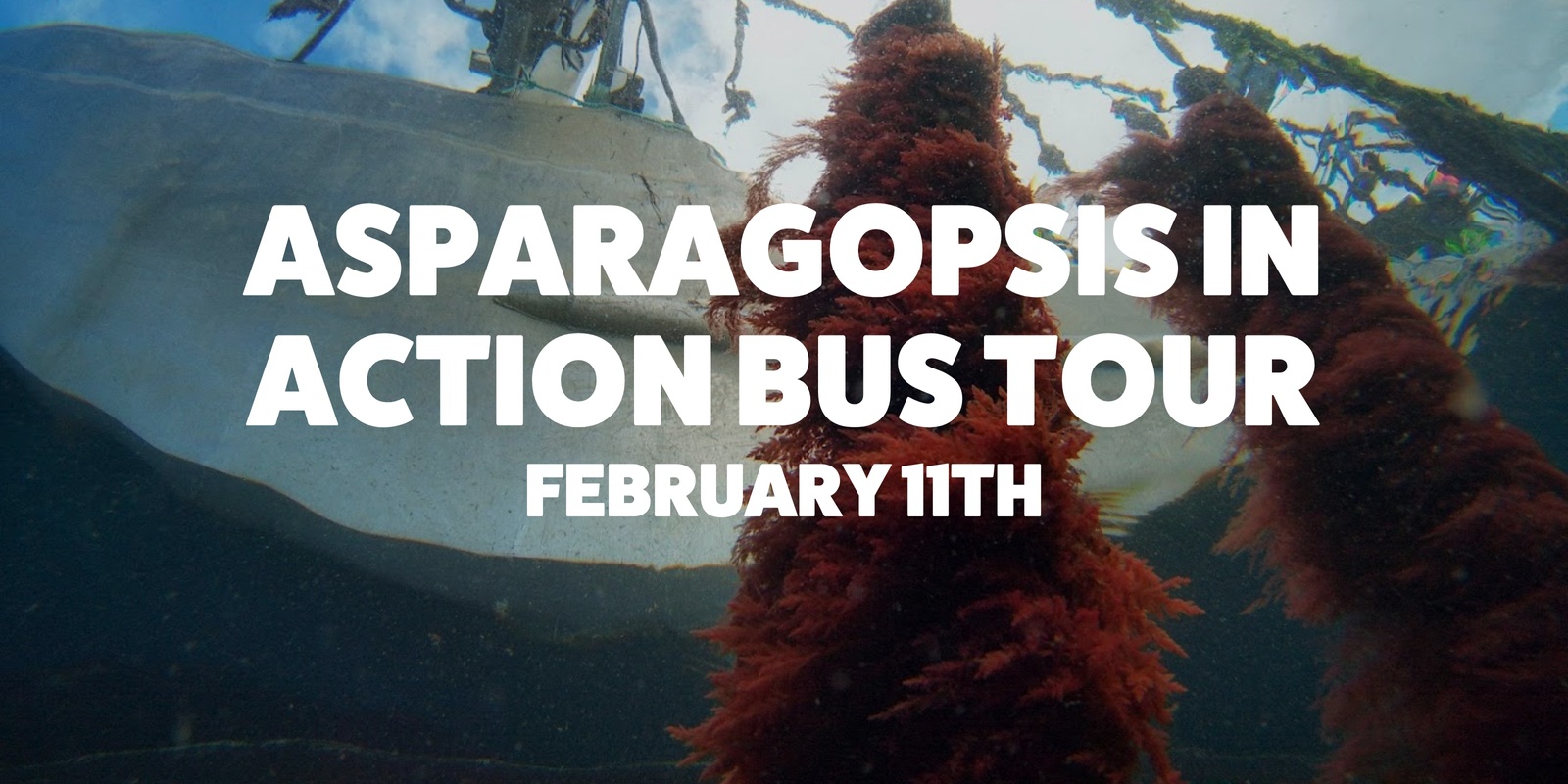 Banner image for RFT - Asparagopsis in Action Bus Tour