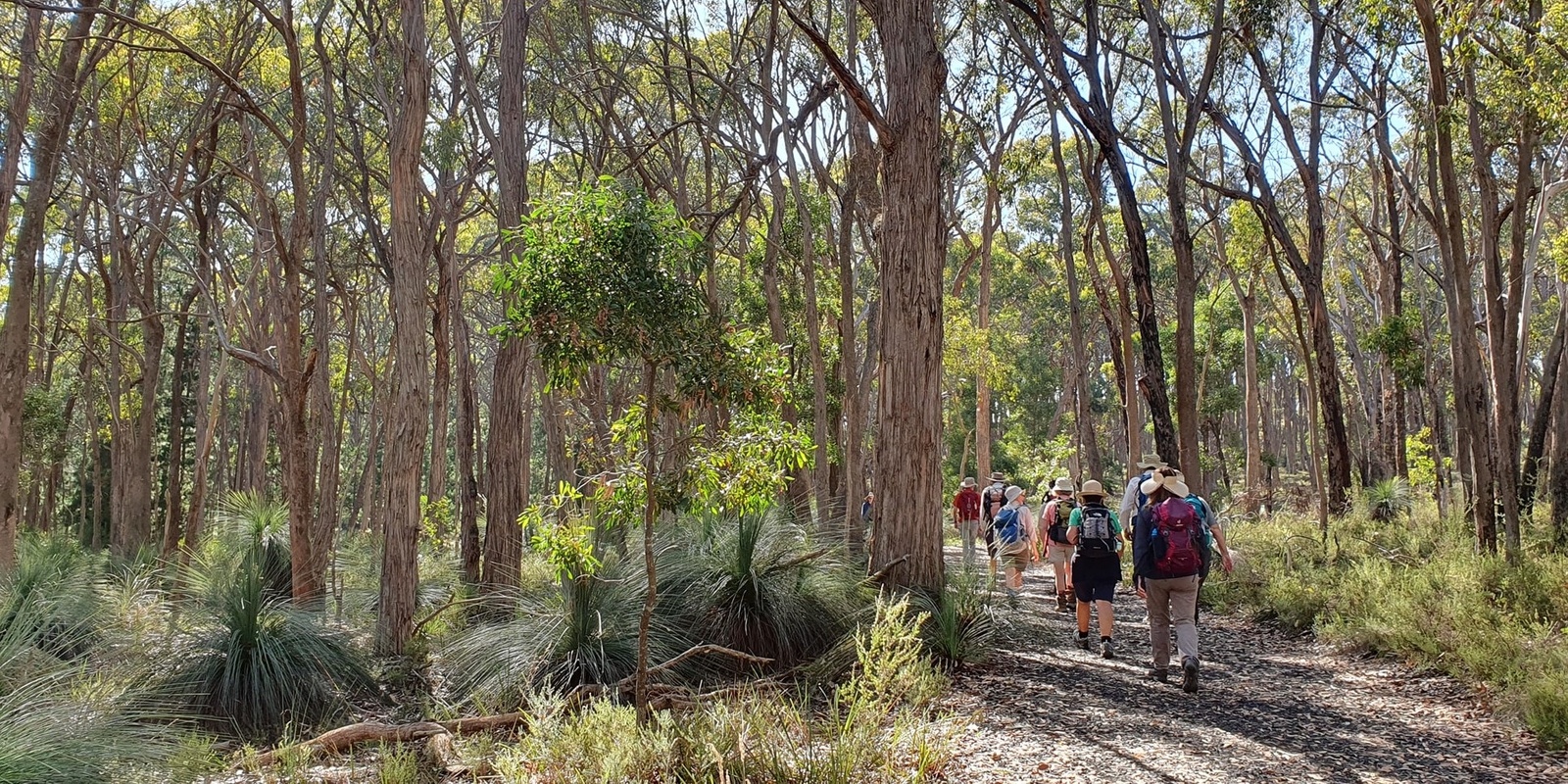 Banner image for Grass trees and Forest Walk, Woowookerung Regional Park - Grade 2 (Easy)