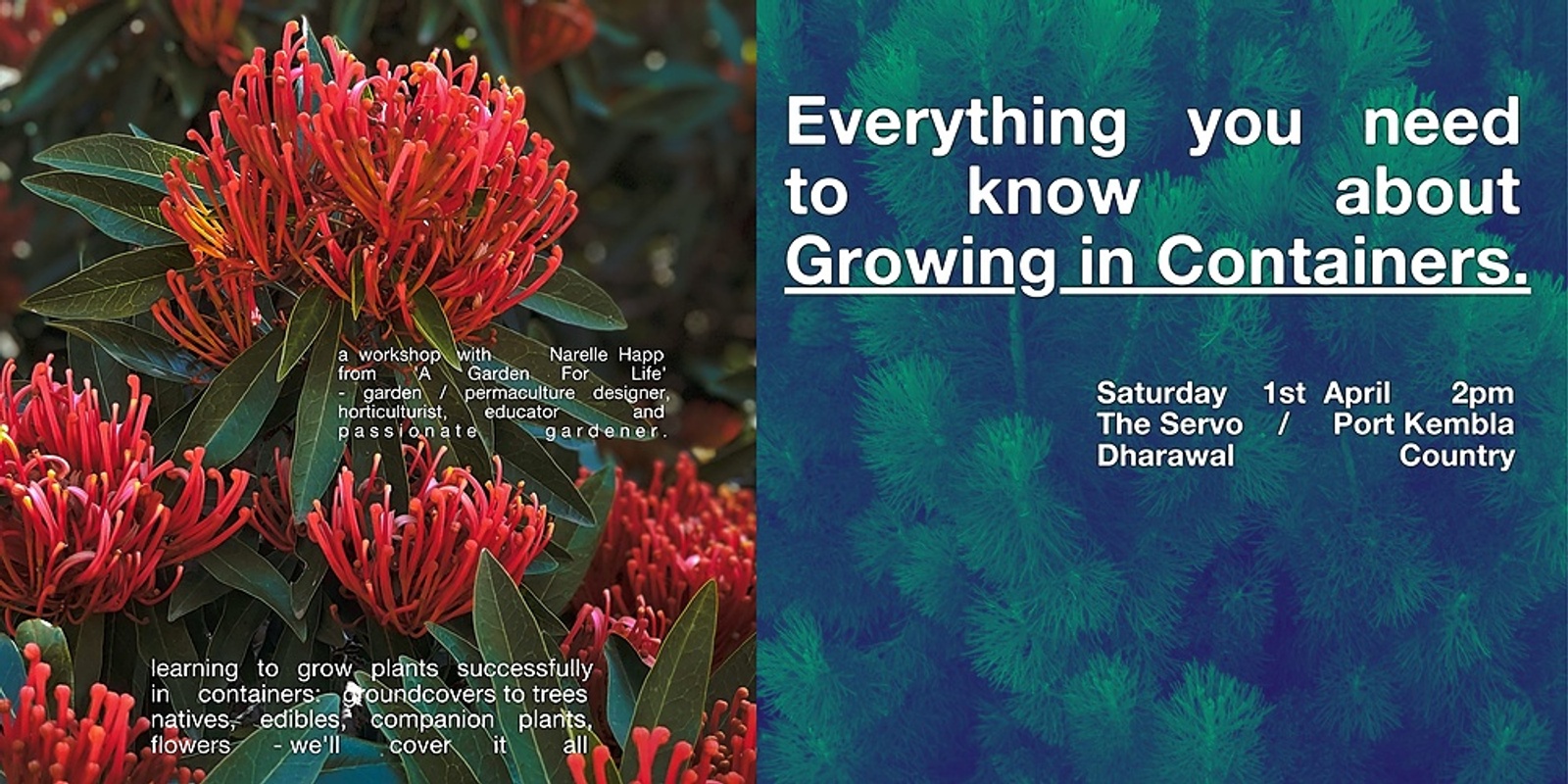 A Garden For Life Workshop - Everything you need to know about 'Growing in Containers'