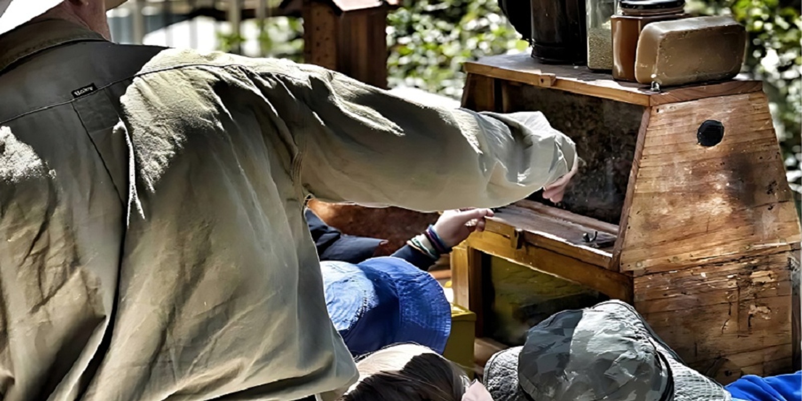 Banner image for Learn Beekeeping at Osborne Library