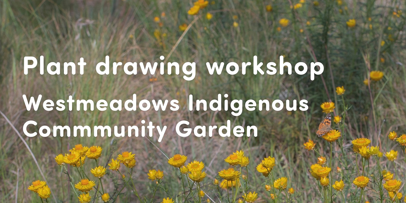 Banner image for Plant drawing workshop 🌿 Westmeadows Indigenous Community Garden