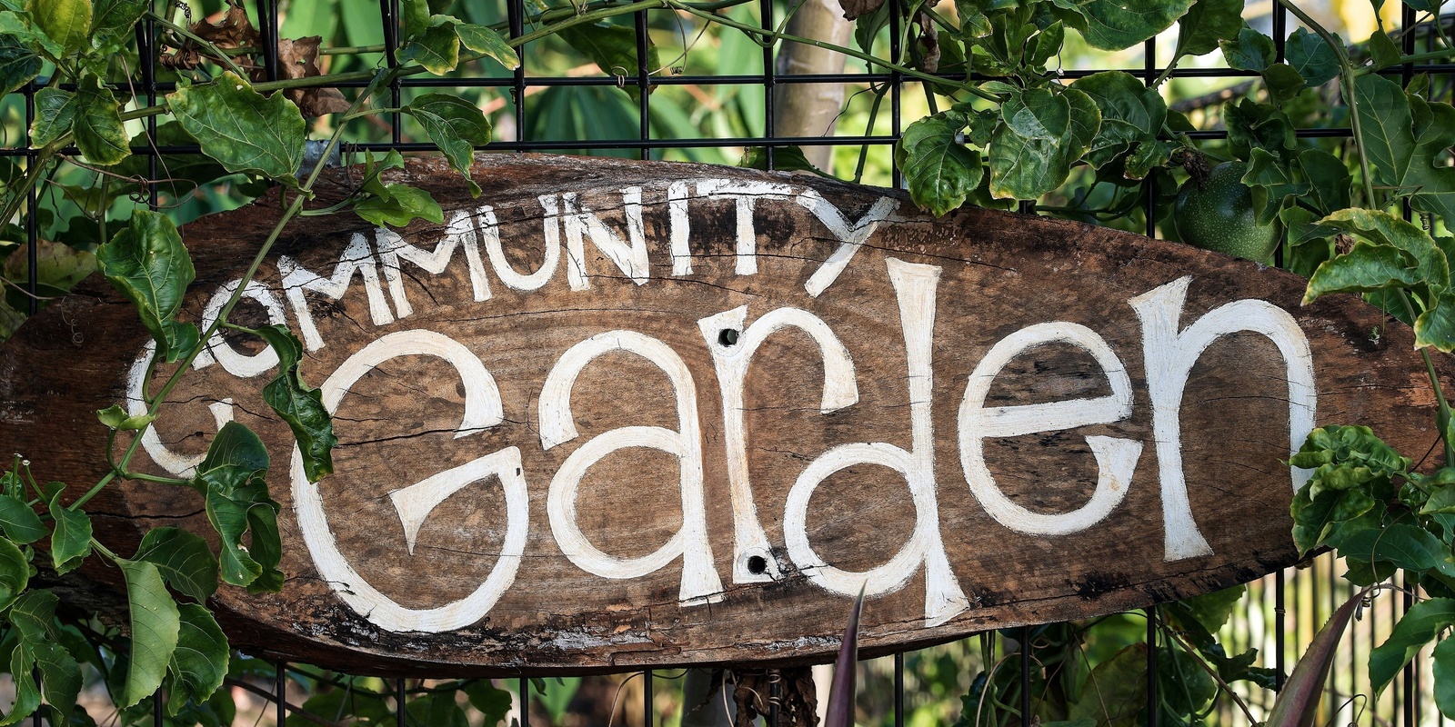 Banner image for Community Garden Hui