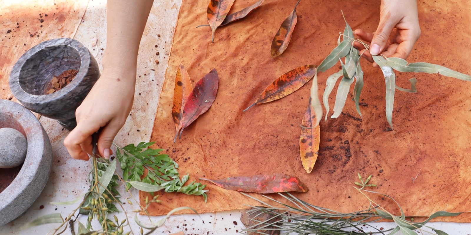 Banner image for Botanical Dyes and Native Foods