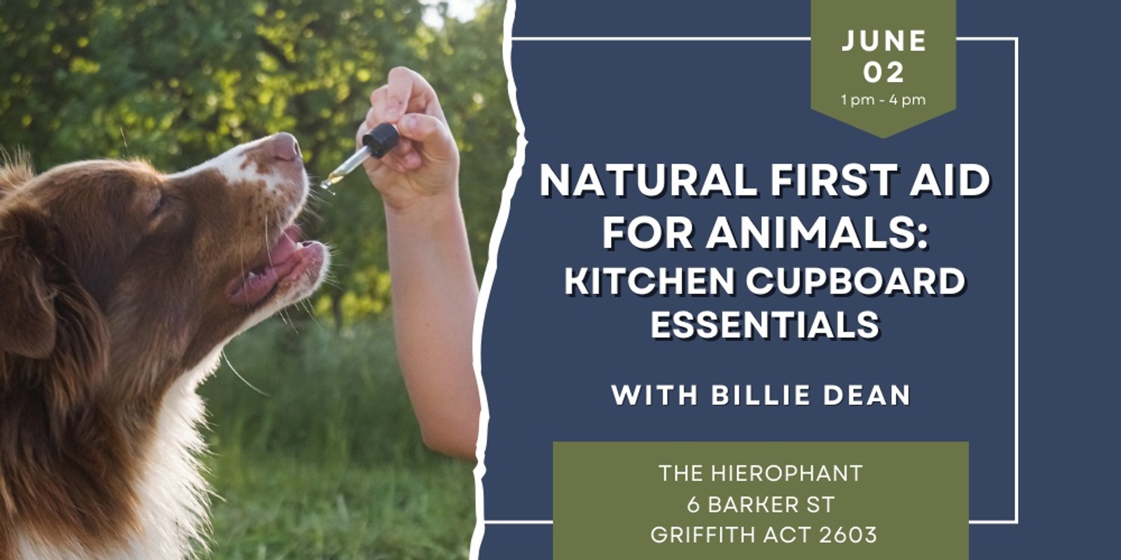 Banner image for Natural First Aid for Animals: Kitchen Cupboard Essentials