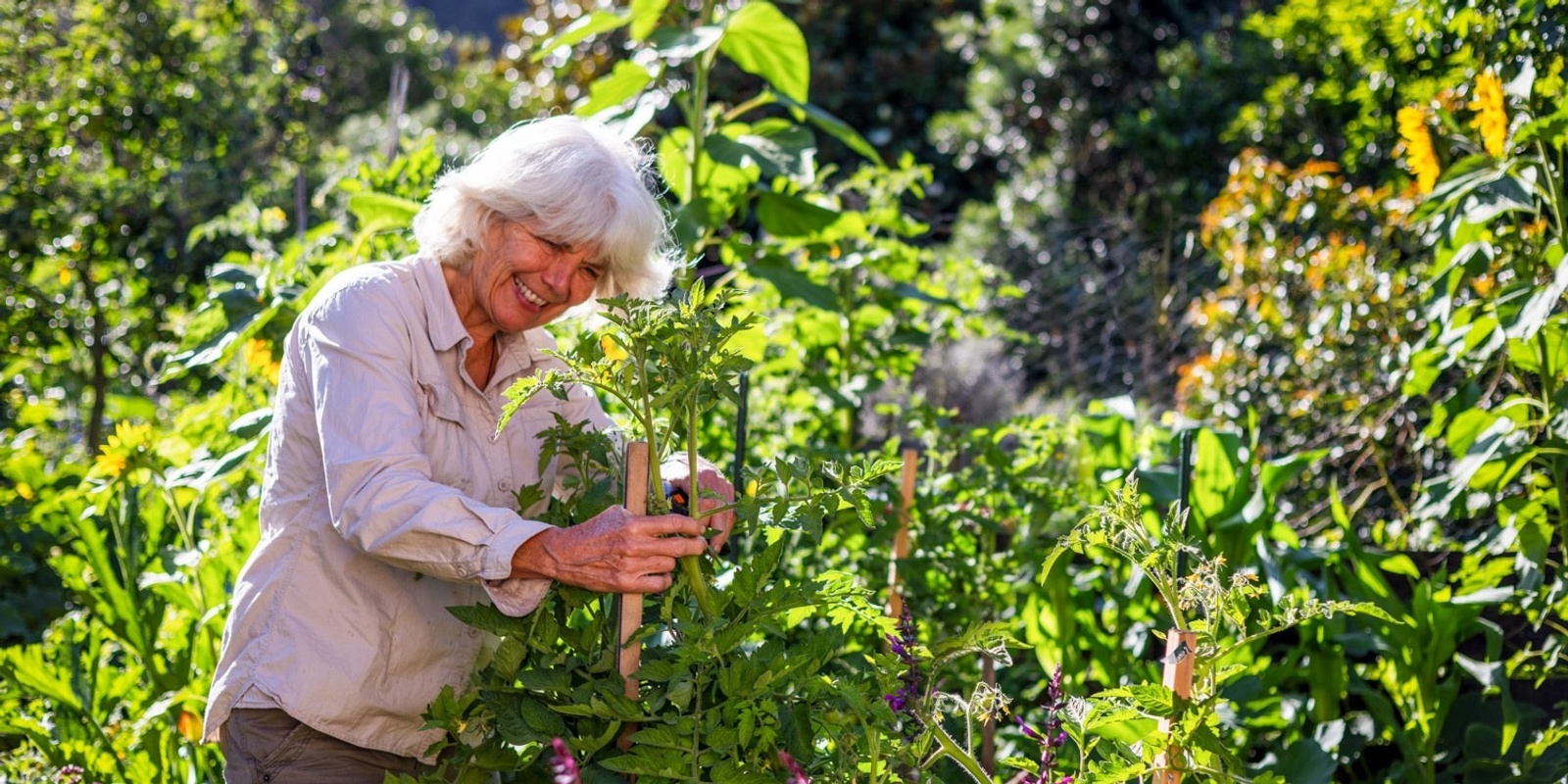 Banner image for Introduction to the Permaculture approach to design your garden and personal life