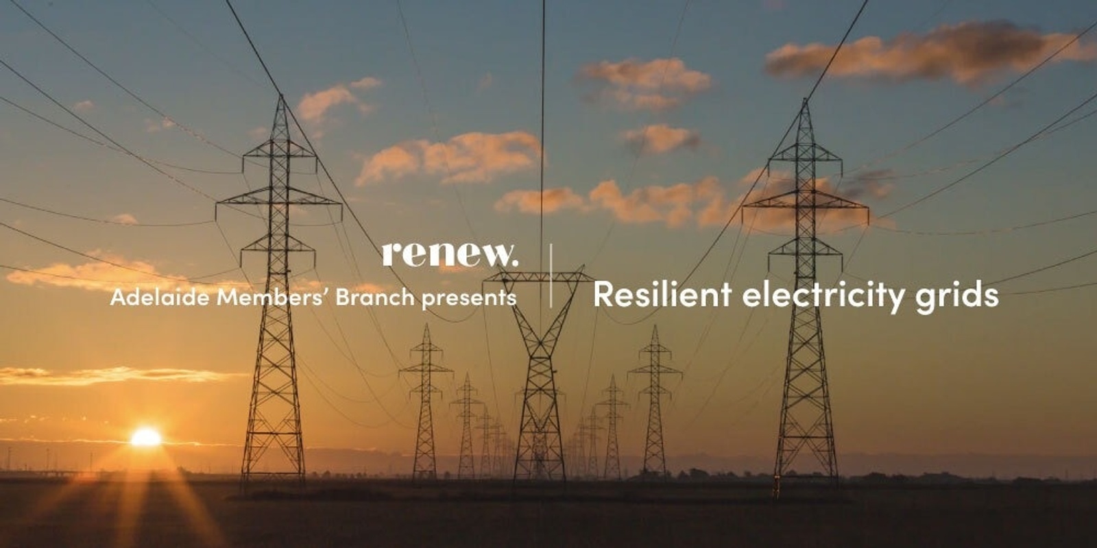 Banner image for Resilient electricity grids