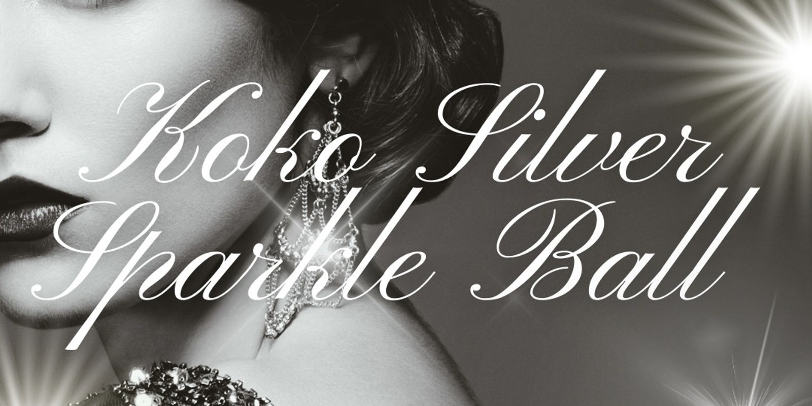 Banner image for KOKO SILVER SPARKLE BALL