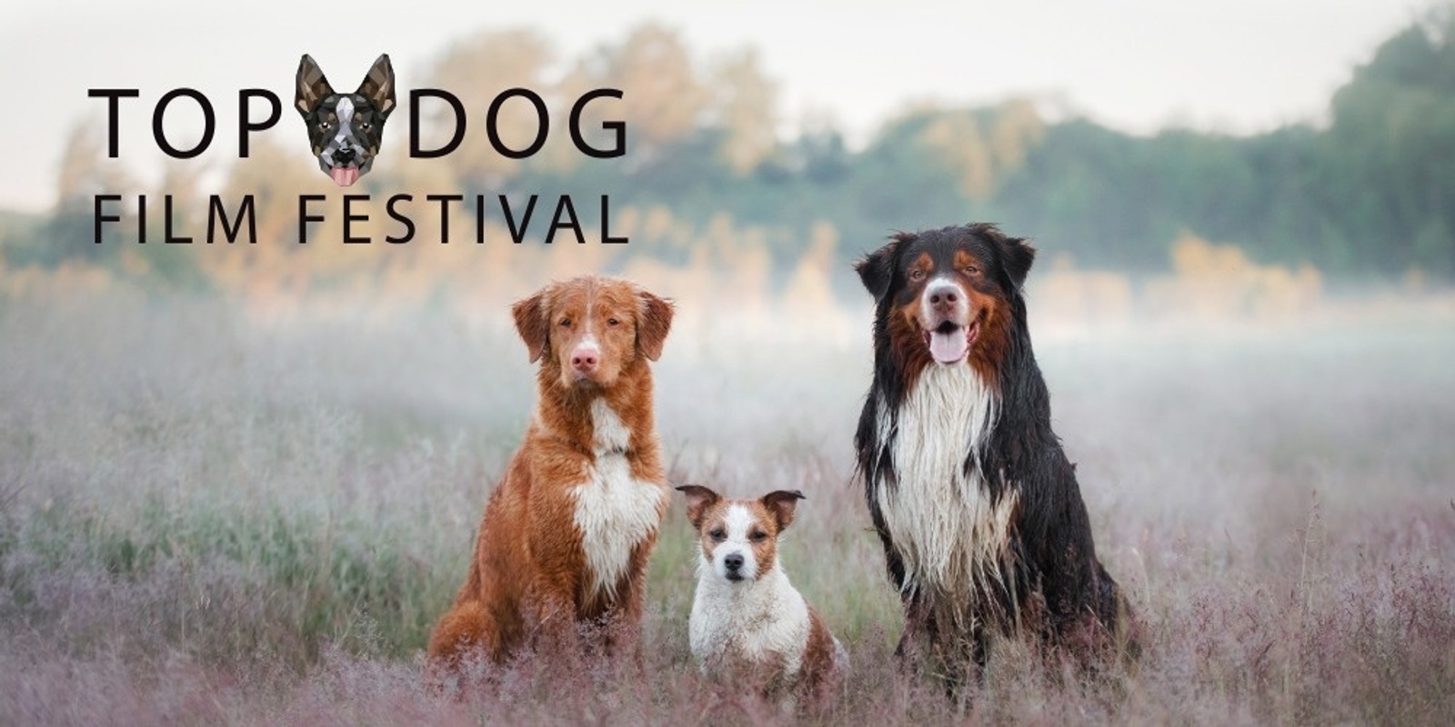 Banner image for  Top Dog Film Festival 2024 - Newcastle Wed 21 Aug 7pm