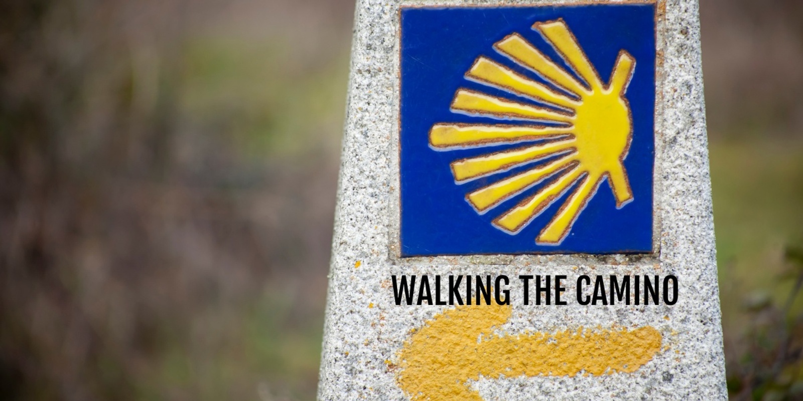 Banner image for Why walk the Camino with Grant from State of Play