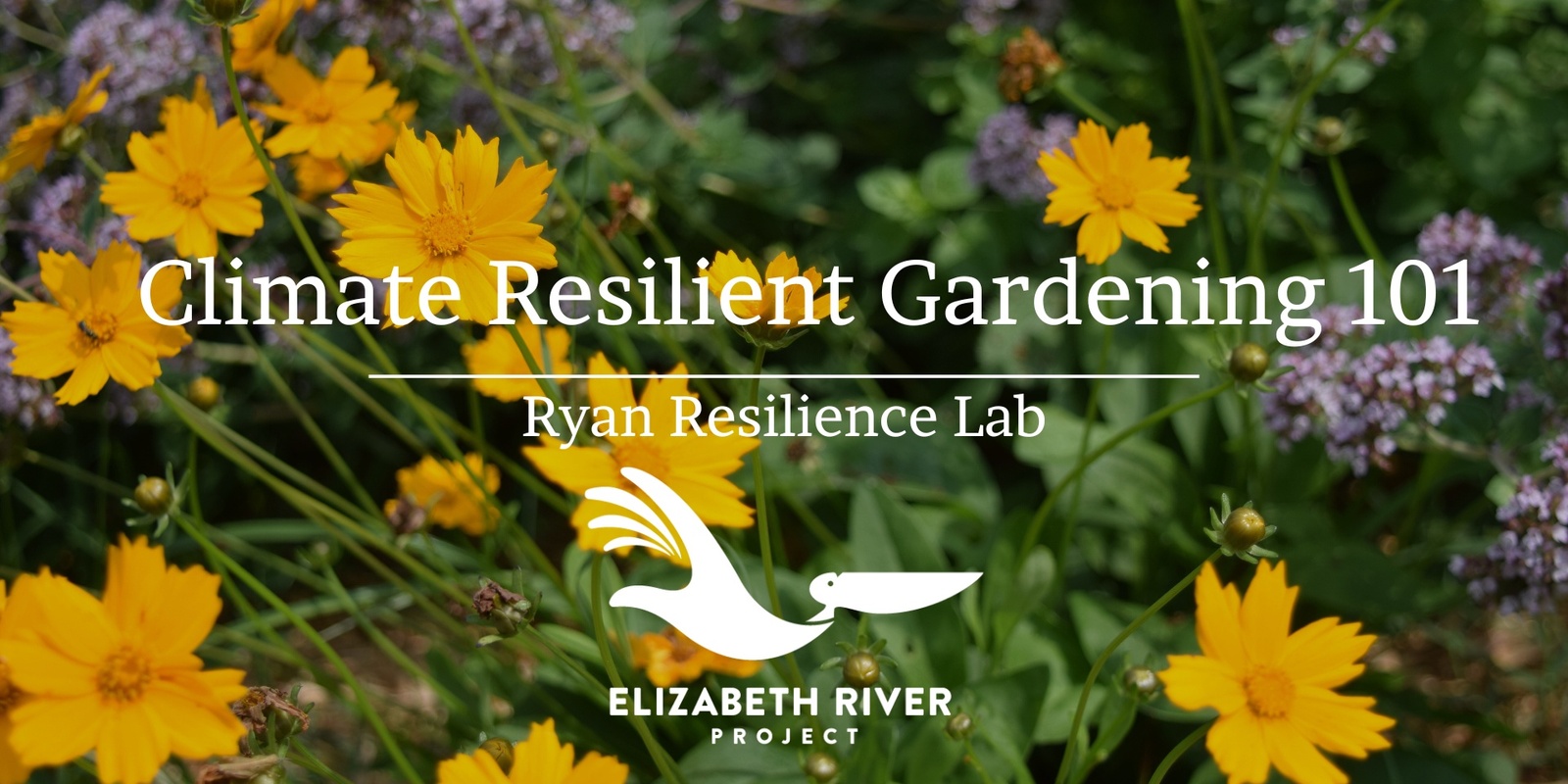 Banner image for FREE Climate Resilient Gardening 101