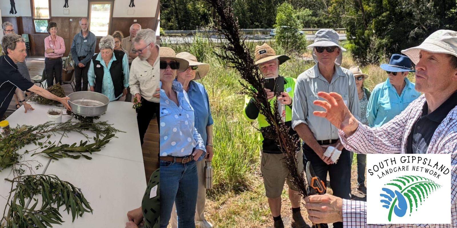 Banner image for Native Seed Collection Workshop