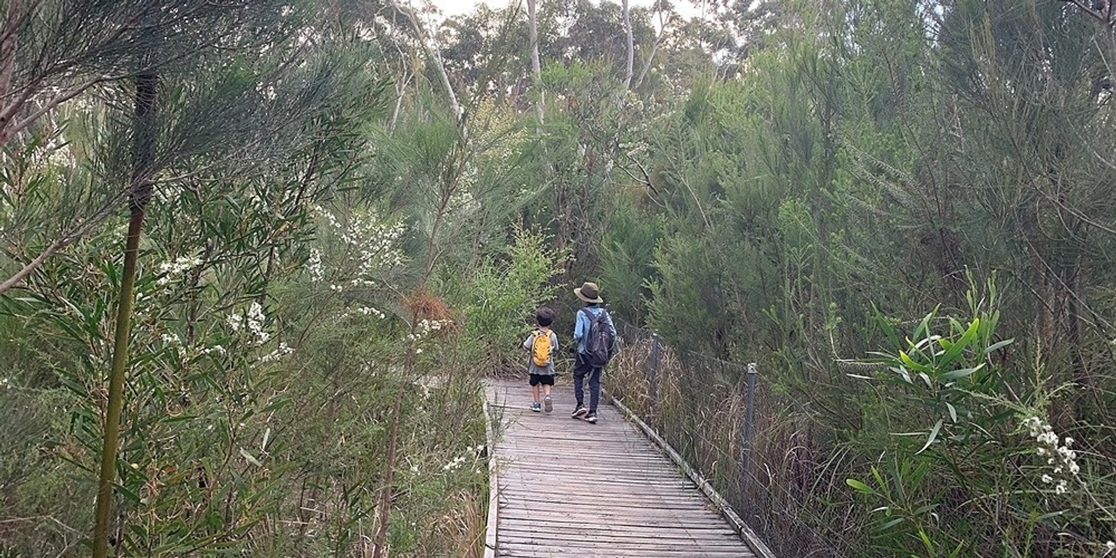 Banner image for Kids Nature Club - 31/10/22 - ART IN NATURE - Stony Range