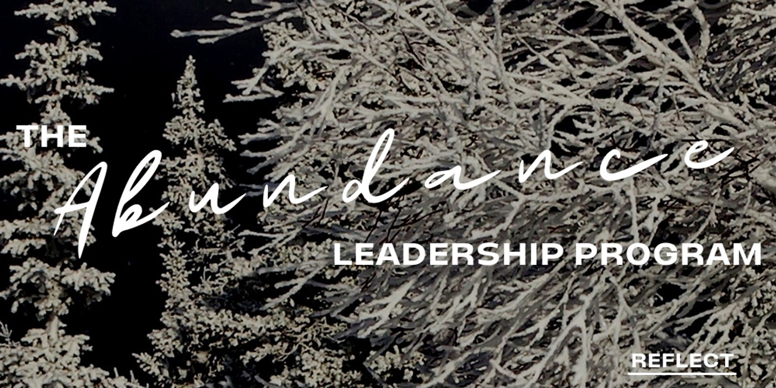 REFLECT: Abundance Leadership Program - SYDNEY