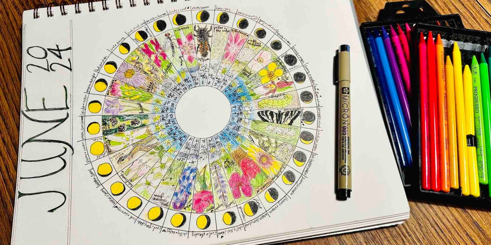 Banner image for Sip & Sketch: Create a Phenology Wheel