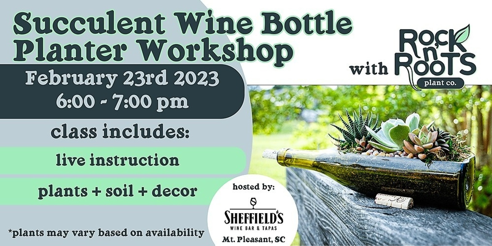 Banner image for Succulent Wine Bottle Workshop at Sheffield's Wine Bar (Mount Pleasant, SC)