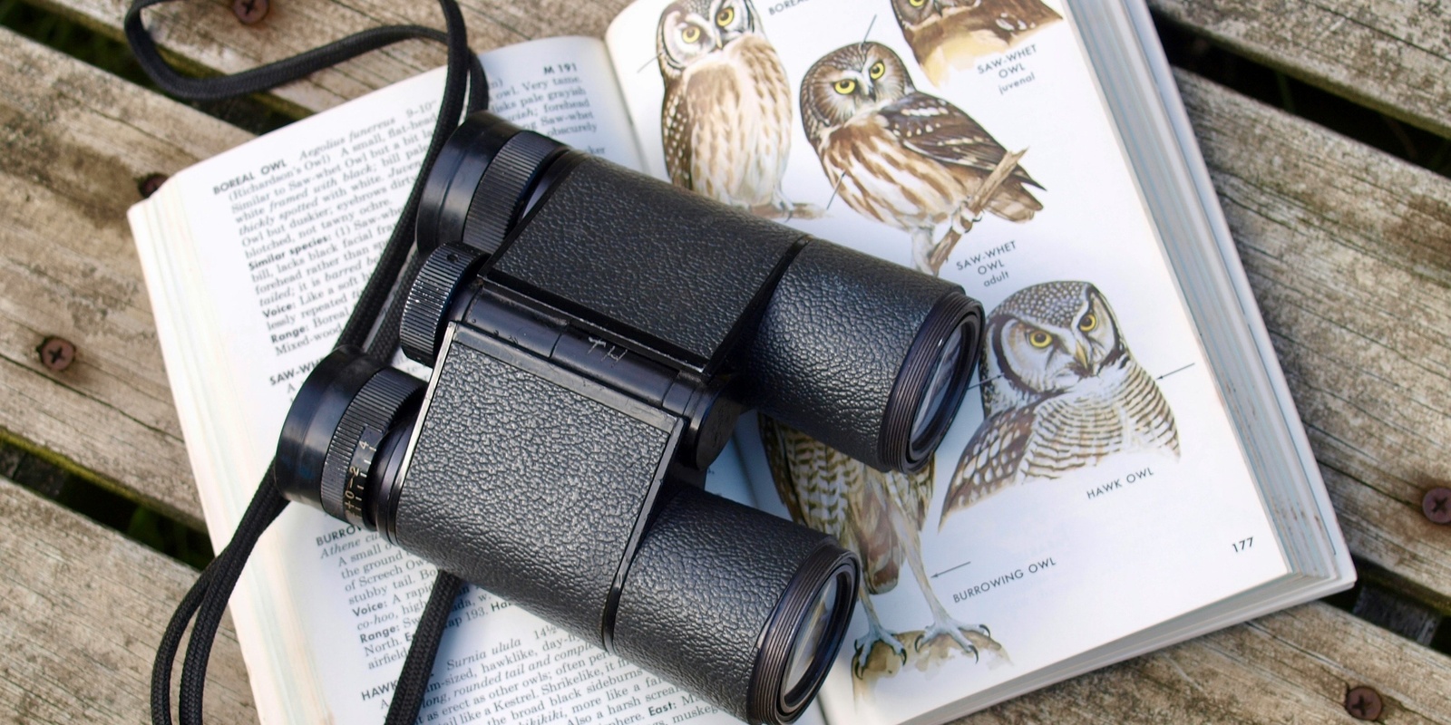 Banner image for MoR Birdwatching Workshops